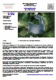 EnBw